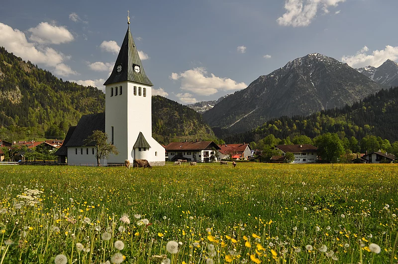 Kirchturm in blühender Wiese