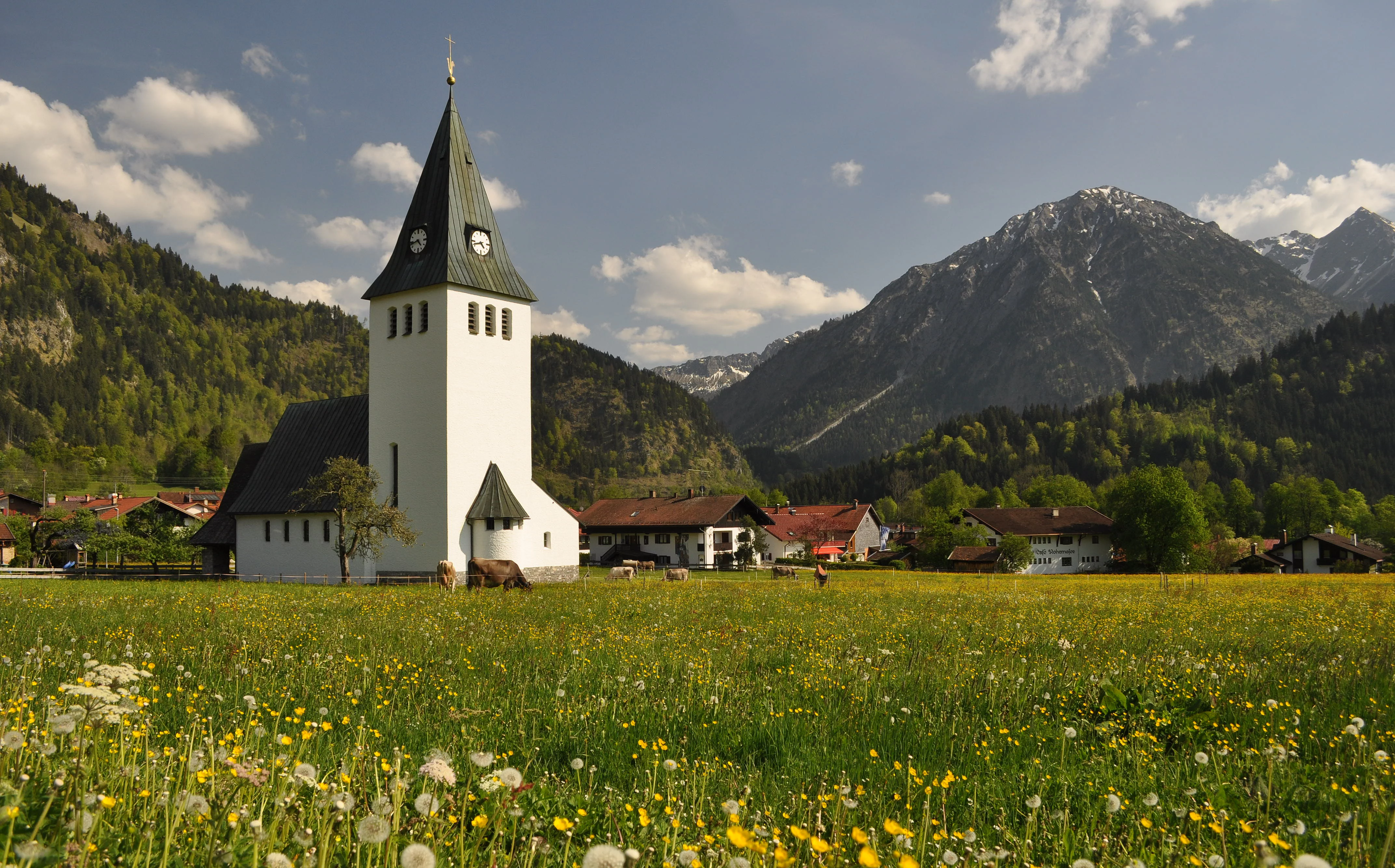 Kirchturm in blühender Wiese